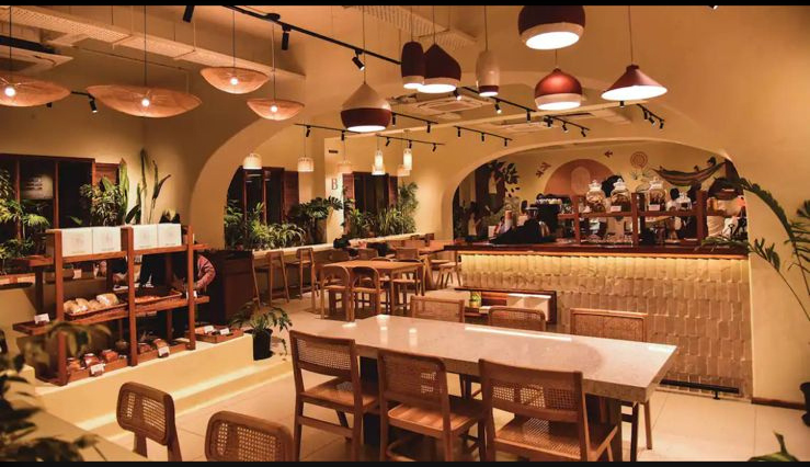 Zira Collection Item